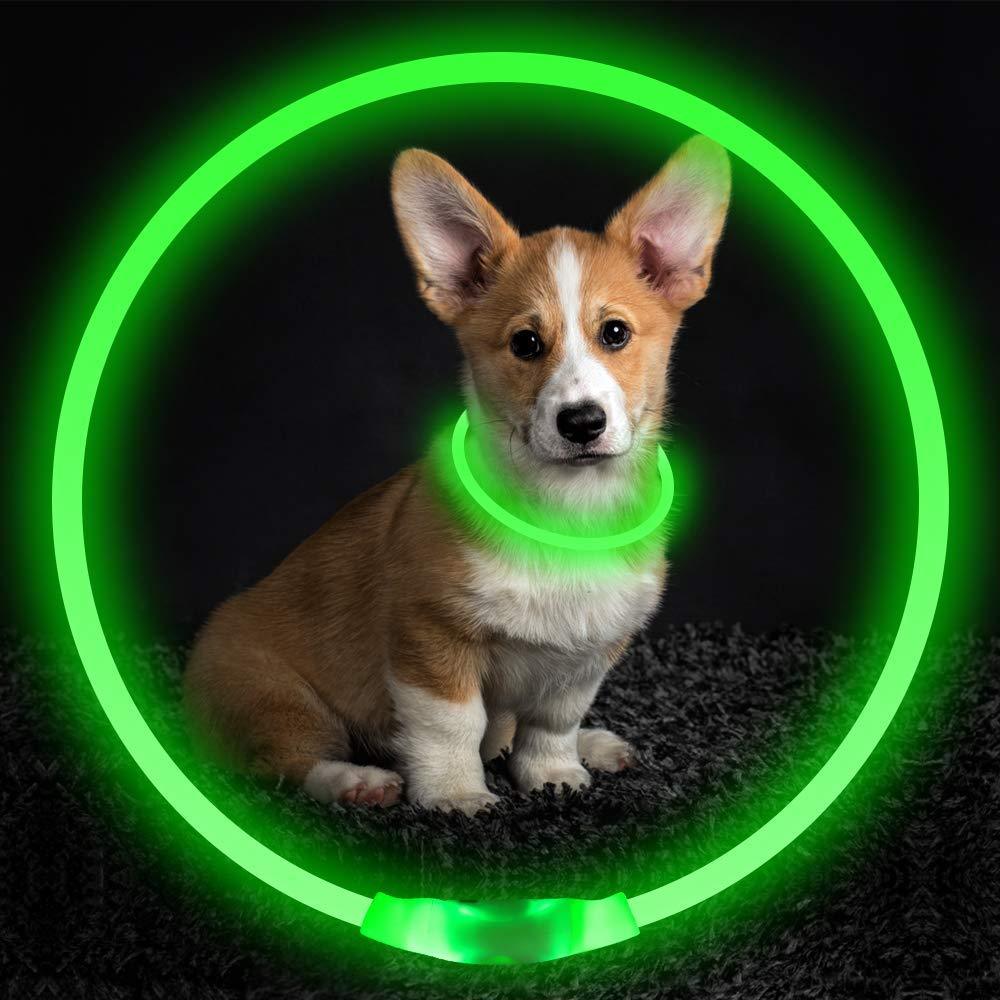 USB Rechargeable LED Dog Collar – Neon Safety Light for Night Walks - Pawticaa