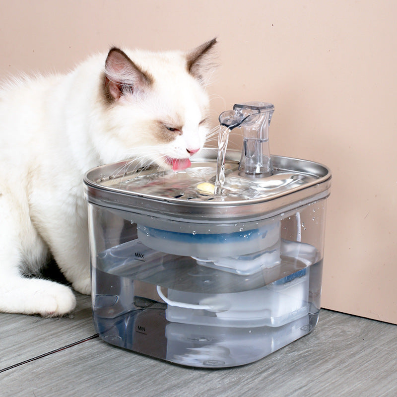 Hydration Meets Hygiene – Pawticaa™ Stainless Steel Smart Fountain - Pawticaa