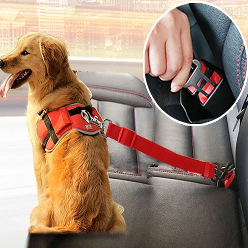 Adjustable Car Seat Belt for Pets – Safe & Comfy Rides - Pawticaa