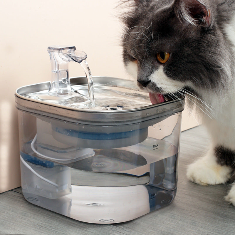 Hydration Meets Hygiene – Pawticaa™ Stainless Steel Smart Fountain - Pawticaa