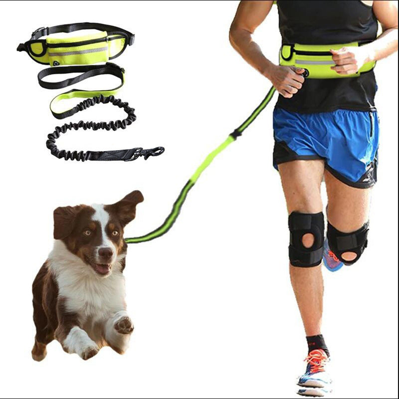 Hands-Free Dog Leash Belt – Shock-Absorbing Bungee, Phone Pocket & Water Bottle Holder - Pawticaa