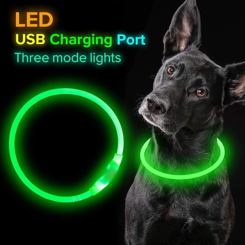 USB Rechargeable LED Dog Collar – Neon Safety Light for Night Walks - Pawticaa