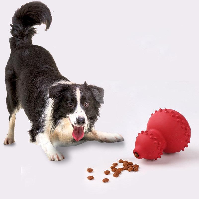 Your Dog’s New Favorite Toy – Built to Last - Pawticaa