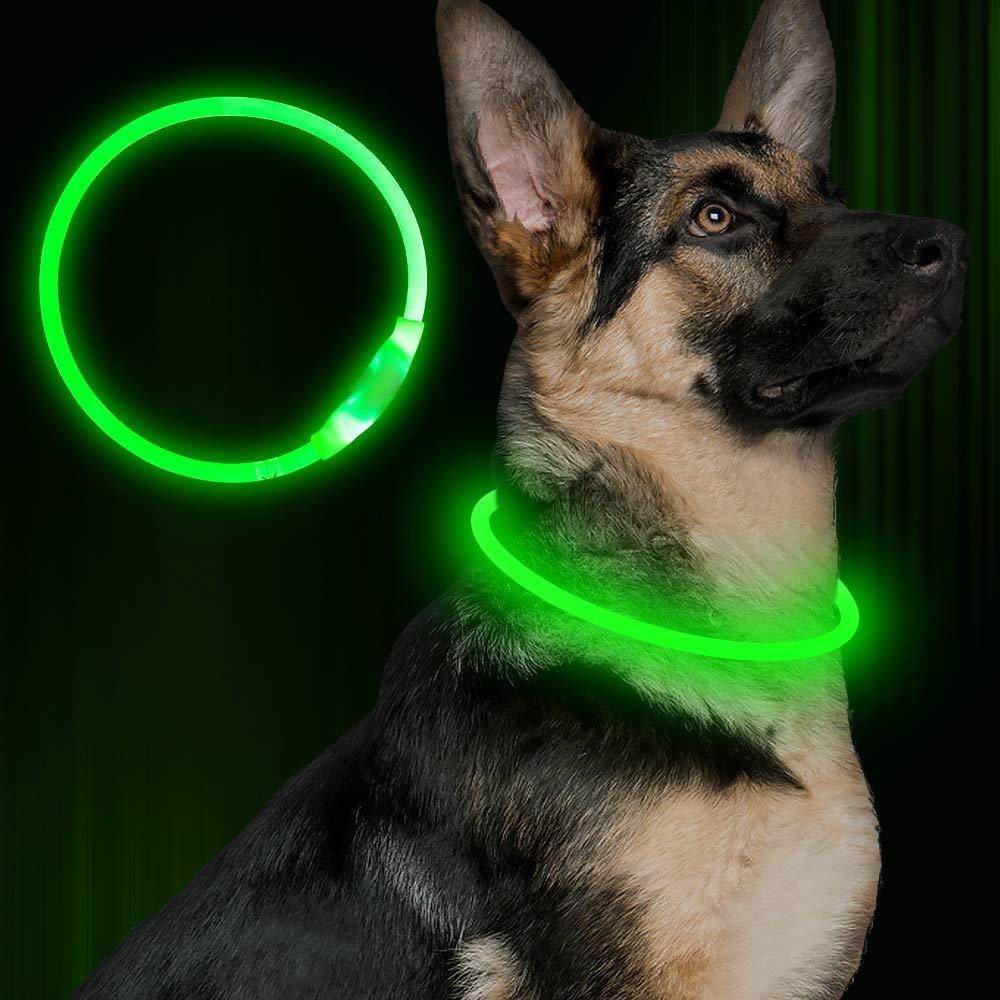 USB Rechargeable LED Dog Collar – Neon Safety Light for Night Walks - Pawticaa