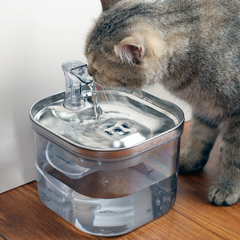 Hydration Meets Hygiene – Pawticaa™ Stainless Steel Smart Fountain - Pawticaa